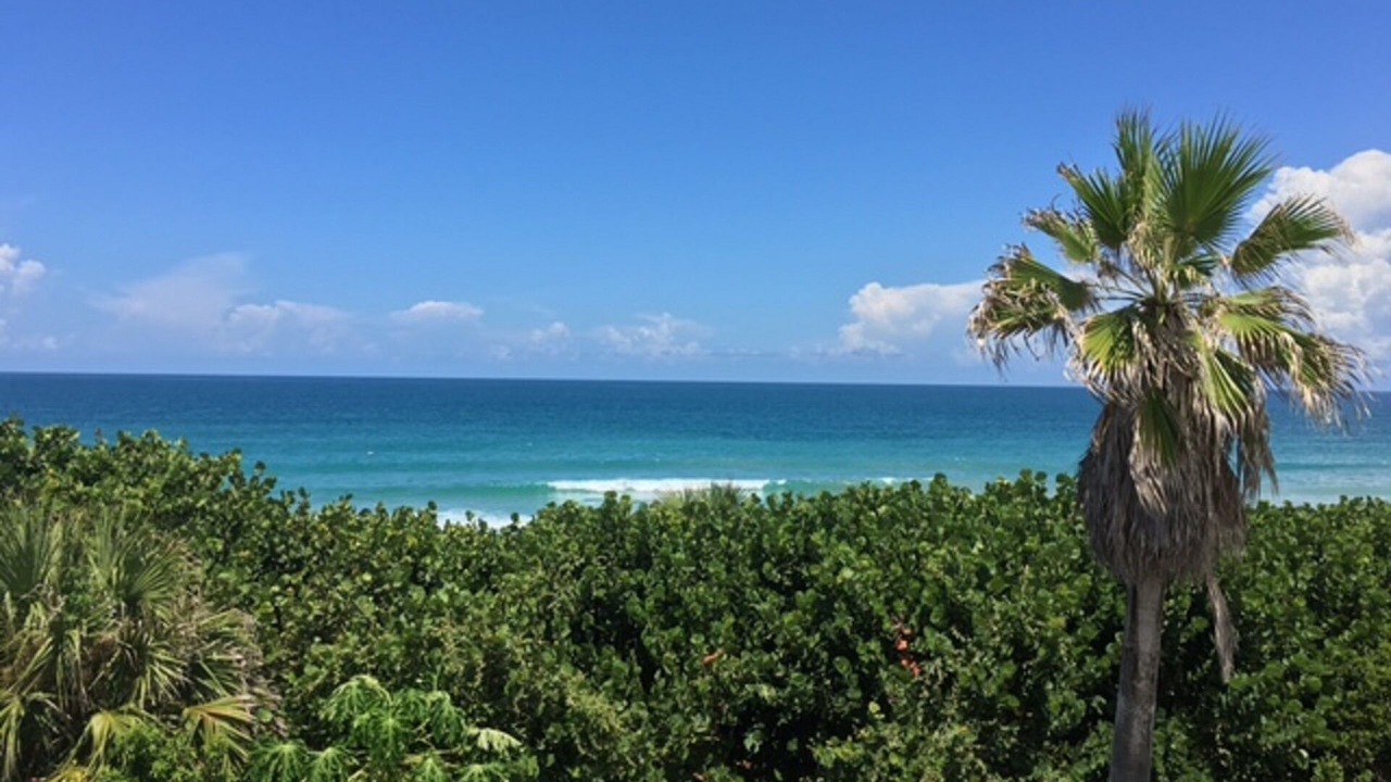 Photo of Outdoor in Melbourne Beach