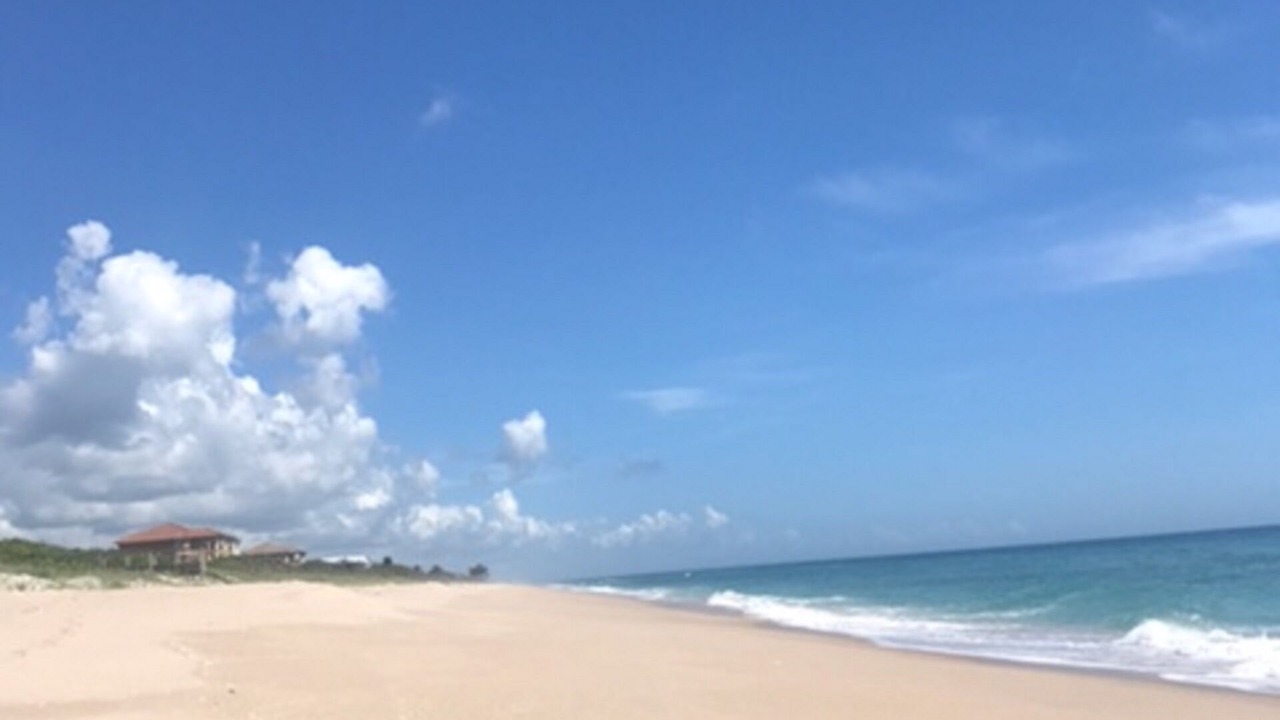 Photo of Others in Melbourne Beach