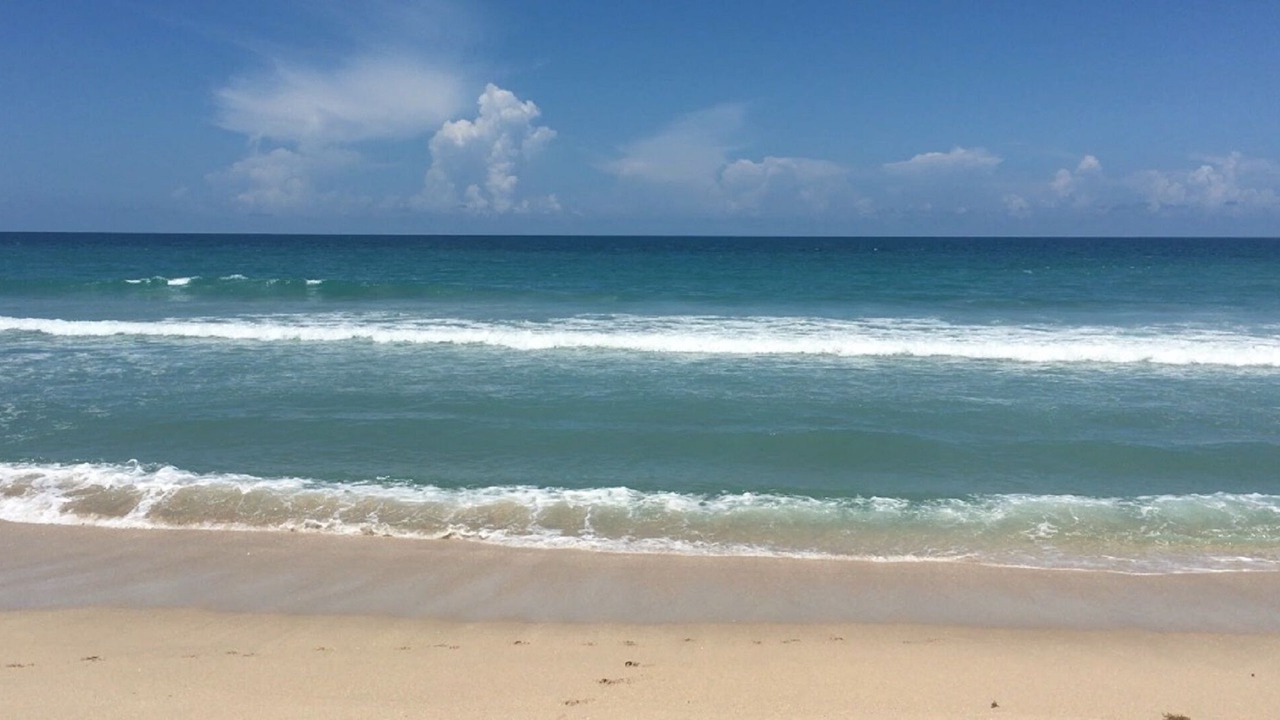 Photo of Others in Melbourne Beach