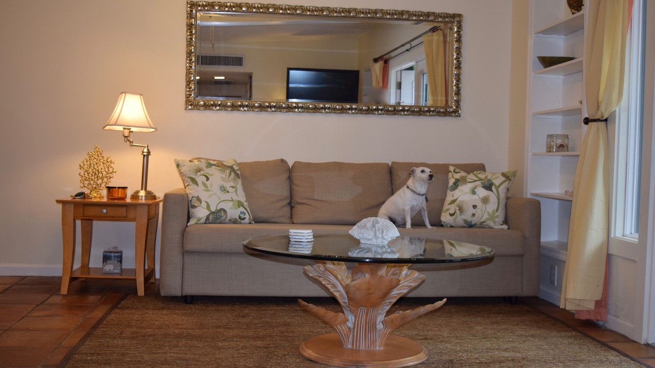 Photo of Livingroom in Whitfield