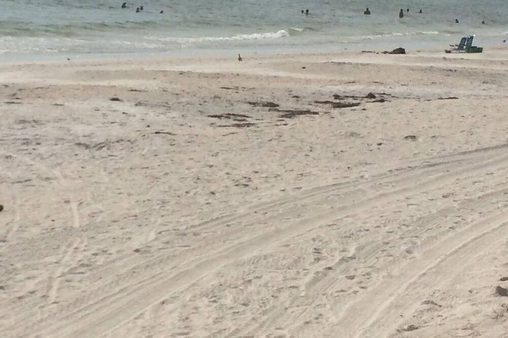 Photo of Others in Sarasota