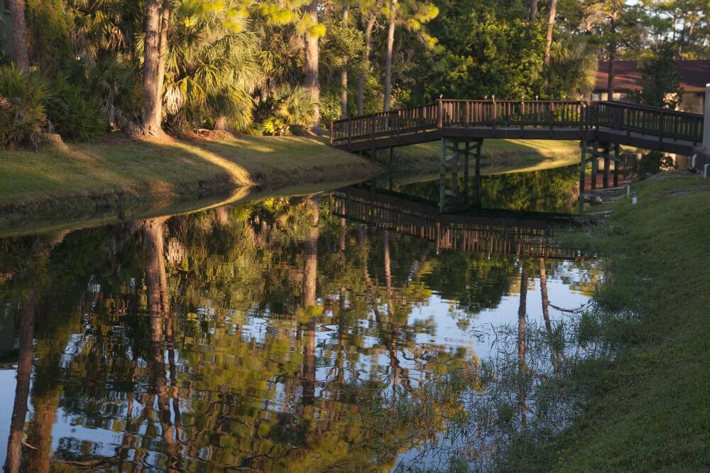 Photo of Others in Sarasota