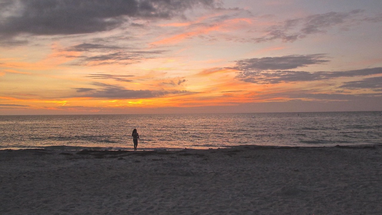 Photo of Others in Indian Shores