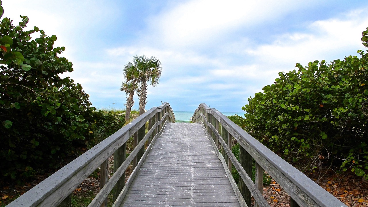 Photo of Others in Indian Shores