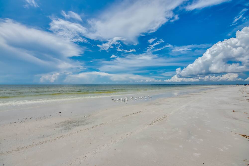 Photo of Others in Fort Myers Beach