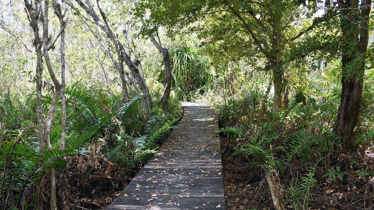 Photo of Outdoor in Gulf Pines
