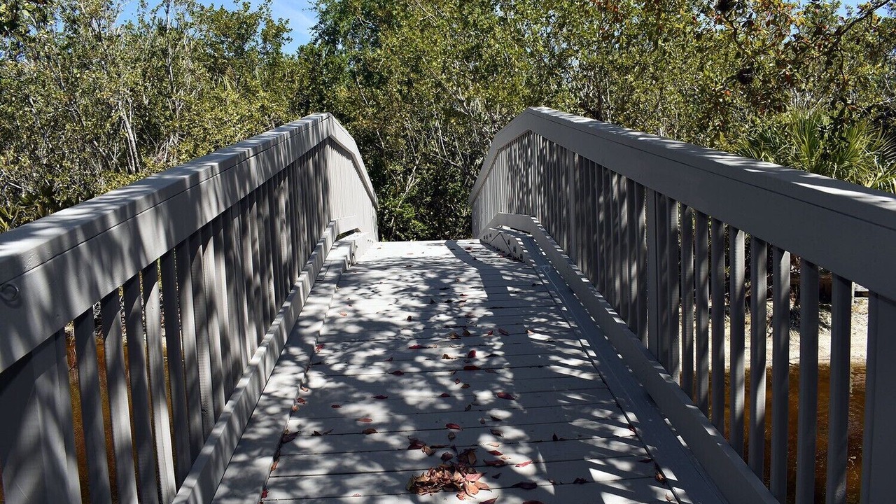 Photo of Outdoor in Gulf Pines