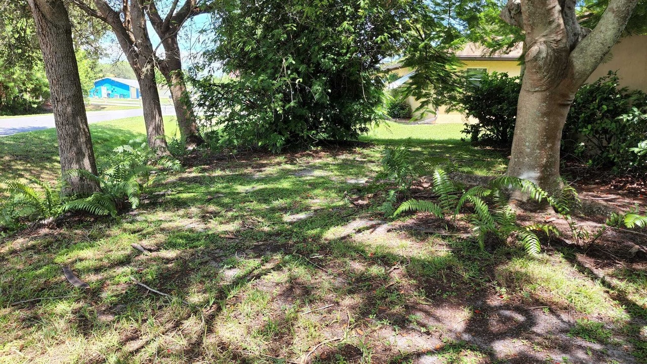 Photo of Outdoor in Indian River Estates
