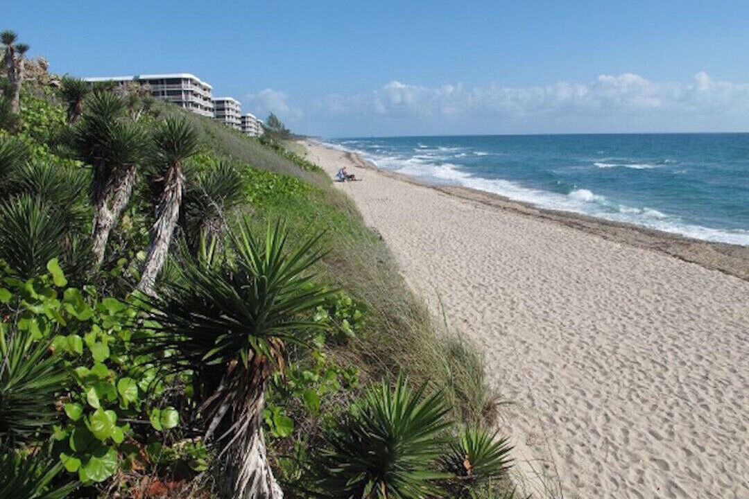 Photo of Others in Lake Worth
