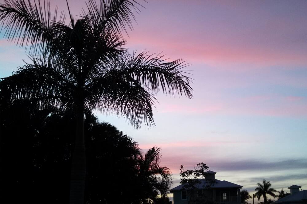 Photo of Outdoor in Palm City