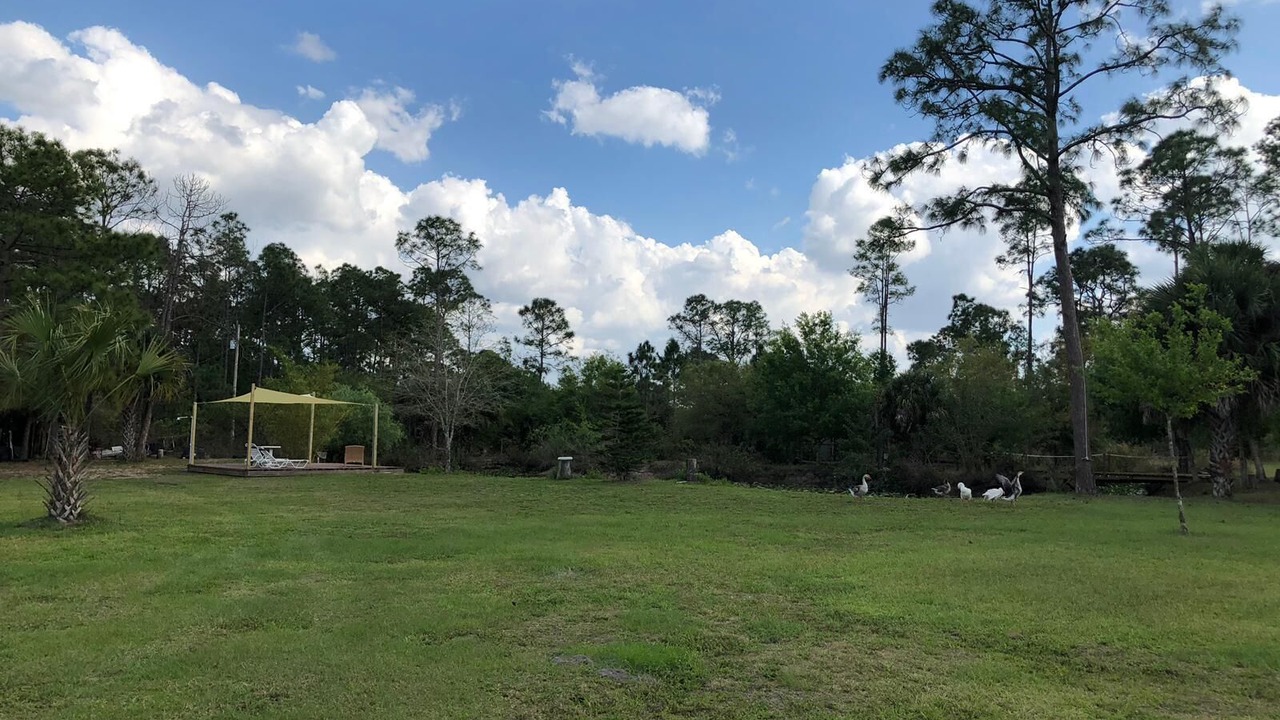 Photo of Outdoor in Clewiston