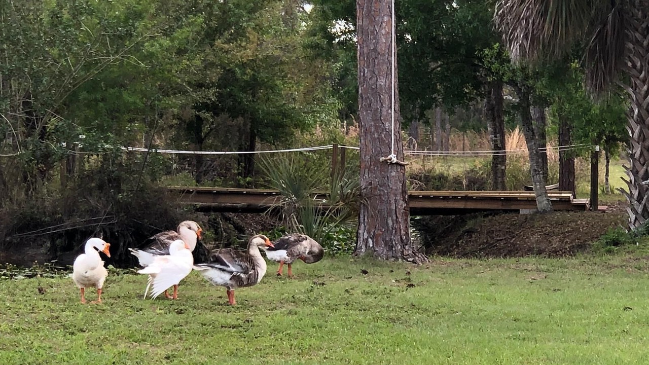 Photo of Outdoor in Clewiston