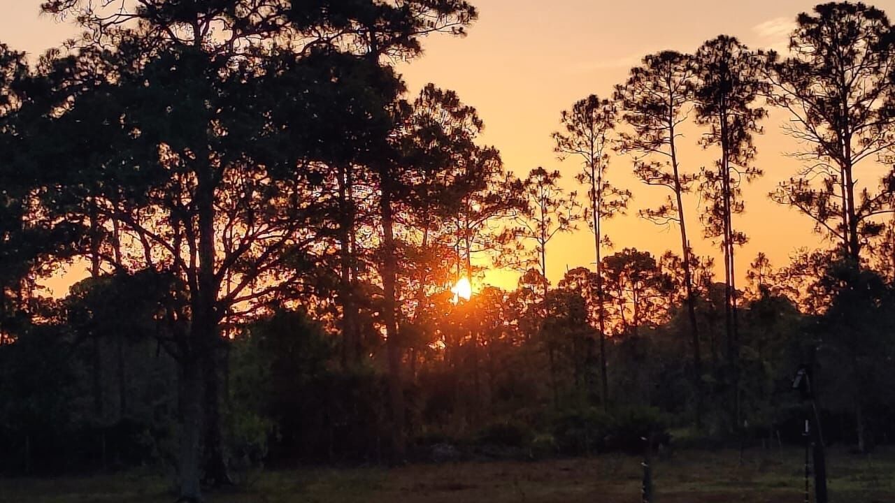 Photo of Outdoor in Clewiston