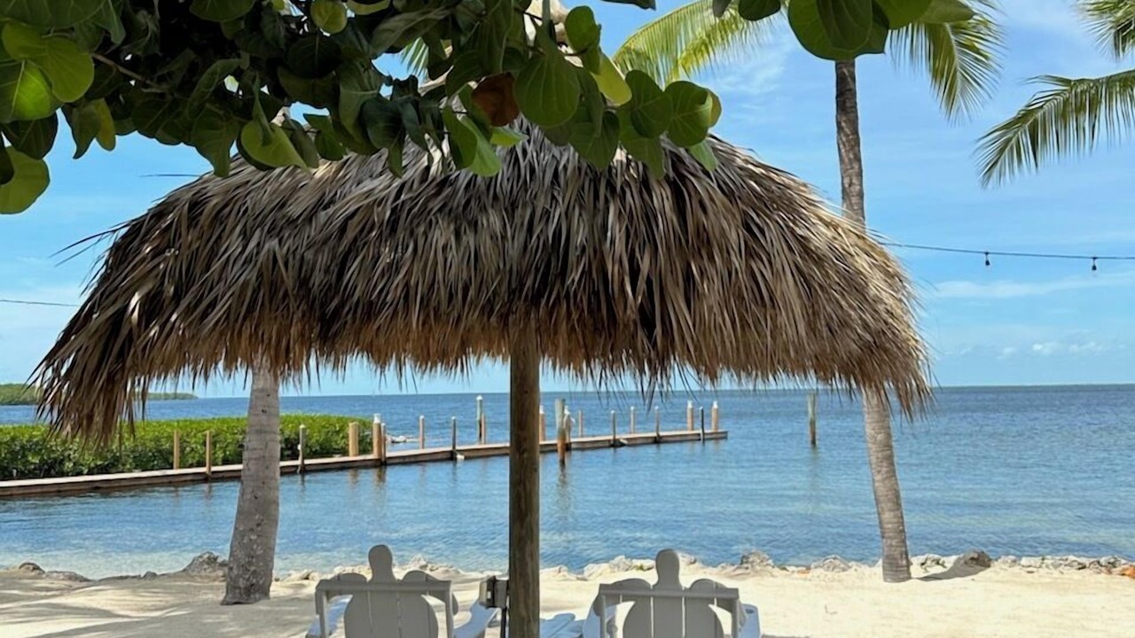 Photo of Others in Tavernier
