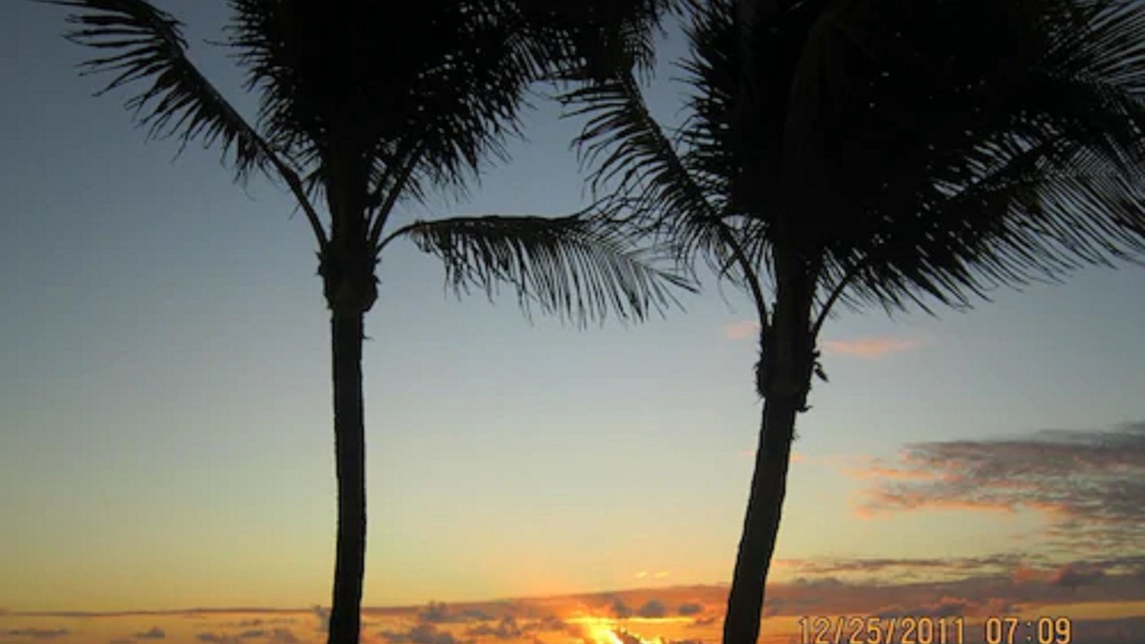 Photo of Outdoor in Pompano Beach