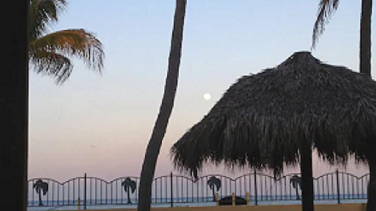 Photo of Others in Pompano Beach
