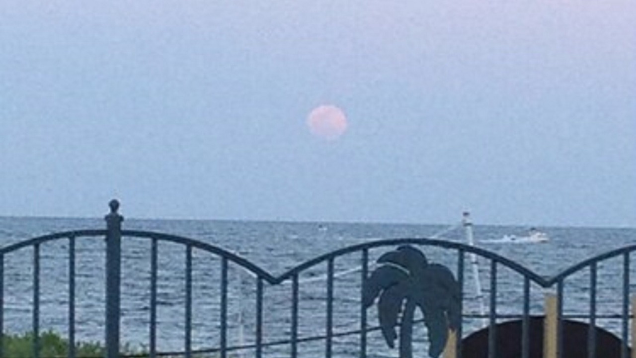 Photo of Others in Pompano Beach