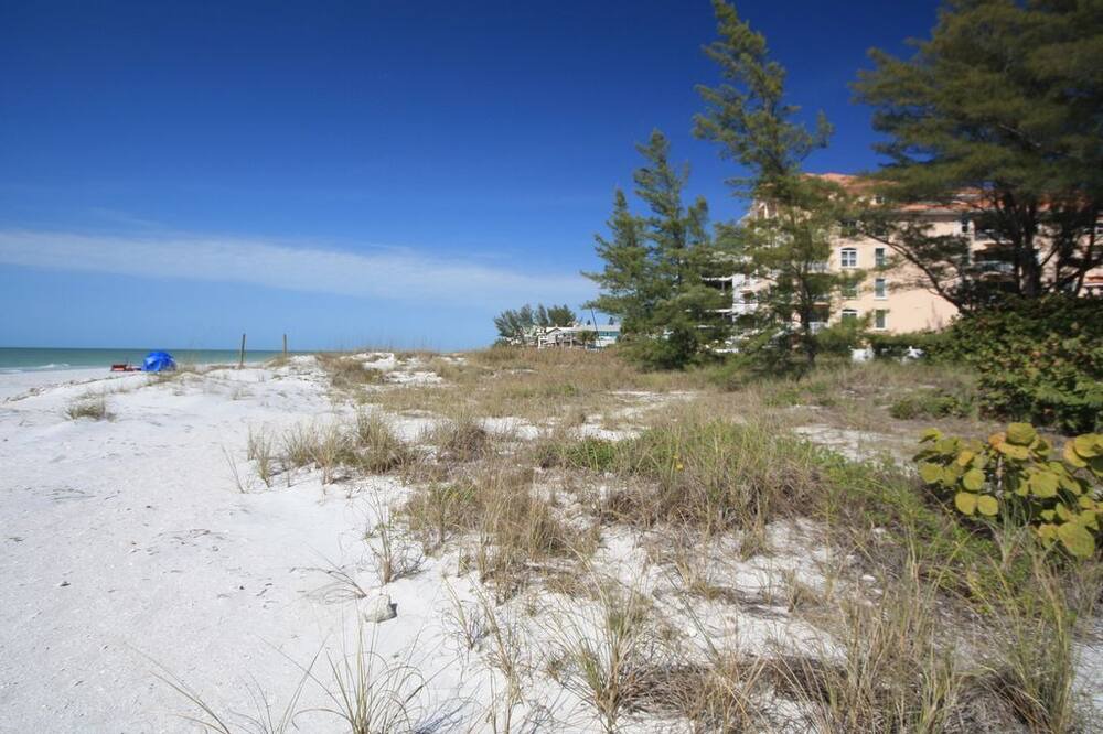Photo of Others in Indian Shores