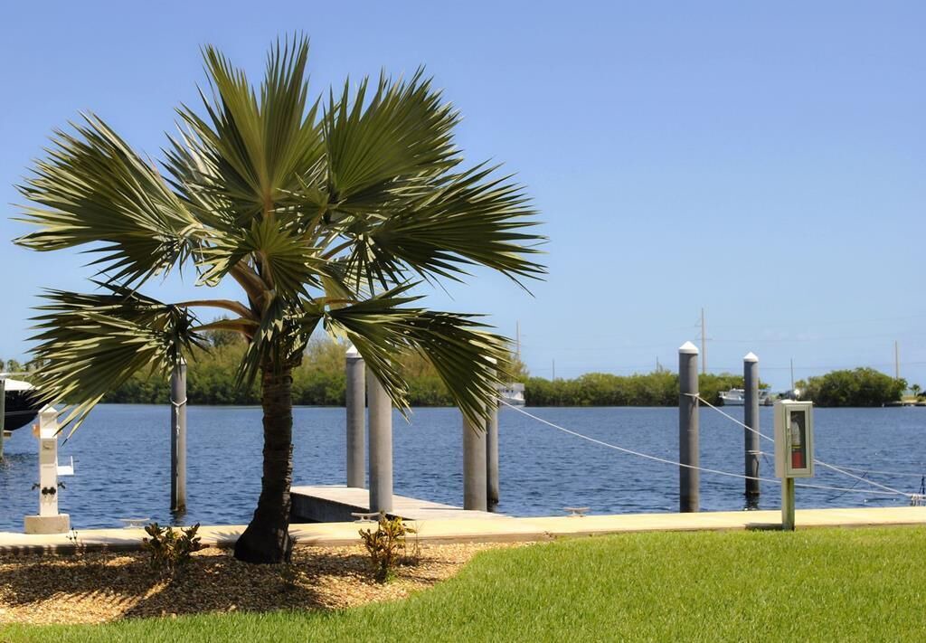 Photo of Others in Islamorada