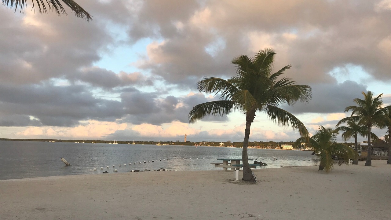 Photo of Others in Key Largo Village