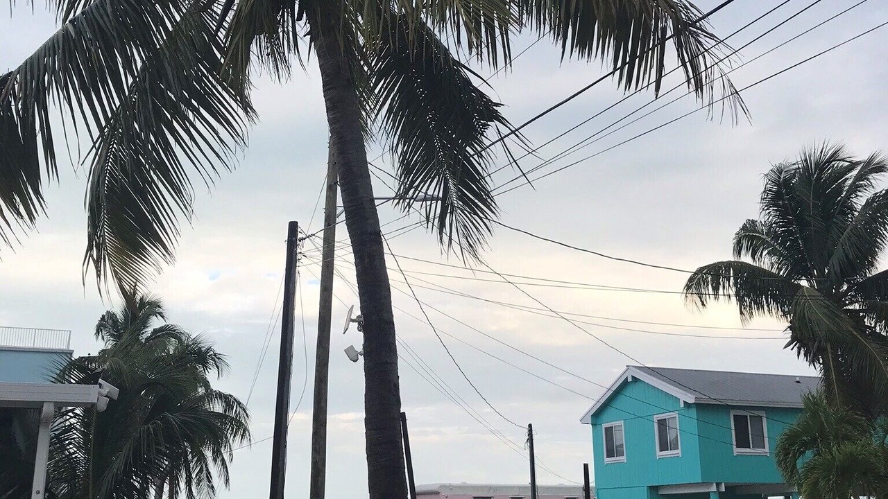 Photo of Outdoor in Key Largo Village
