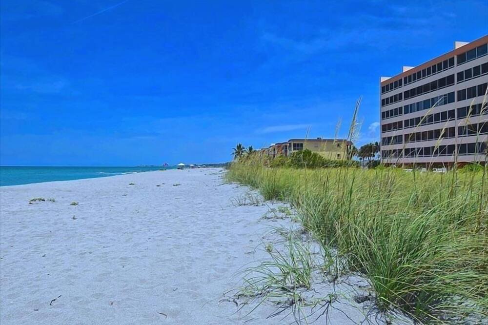 Photo of Others in Siesta Key