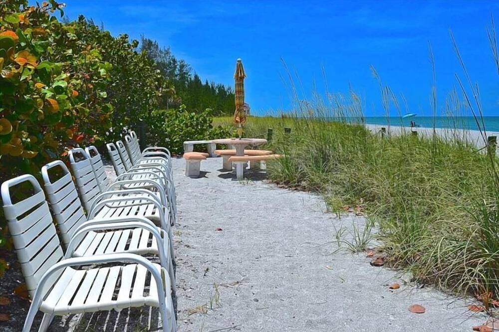 Photo of Others in Siesta Key