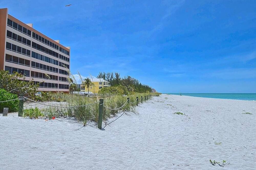 Photo of Others in Siesta Key