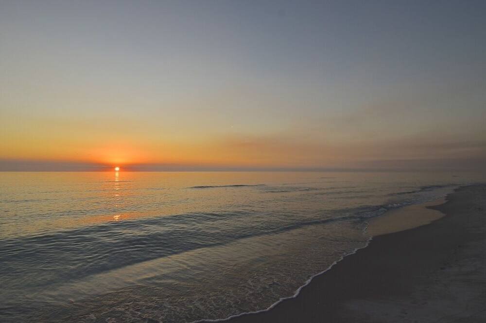 Photo of Others in Siesta Key