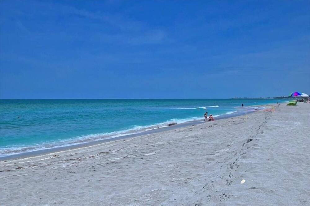 Photo of Others in Siesta Key