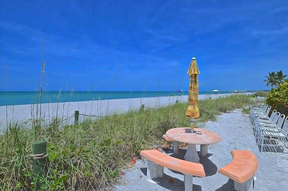 Photo of Others in Siesta Key
