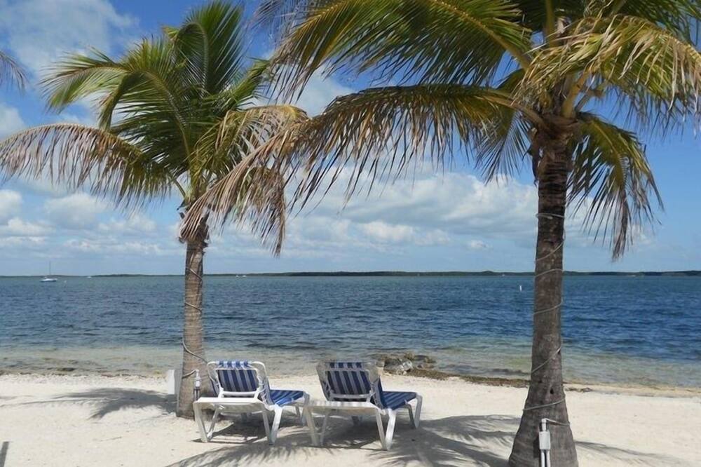 Photo of Others in Key Largo Village