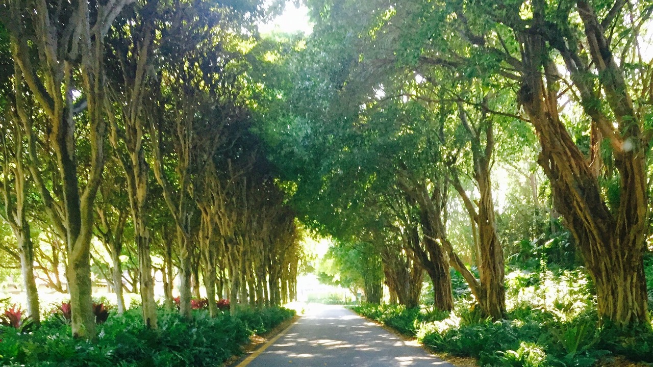 Photo of Outdoor in Miami Beach