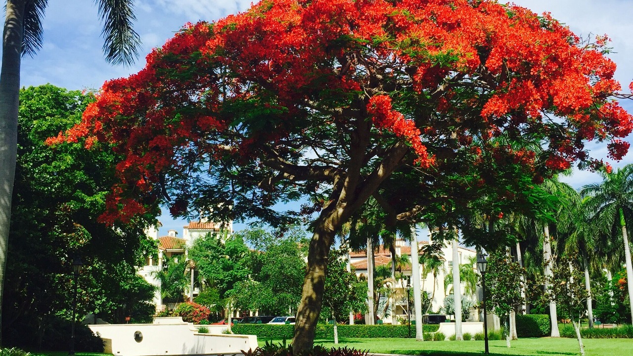 Photo of Outdoor in Miami Beach