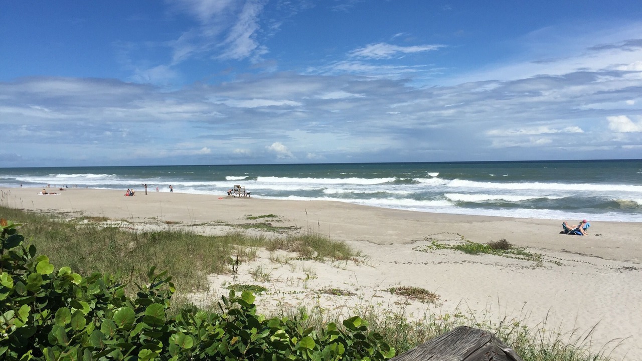 Photo of Others in Indialantic By The Sea