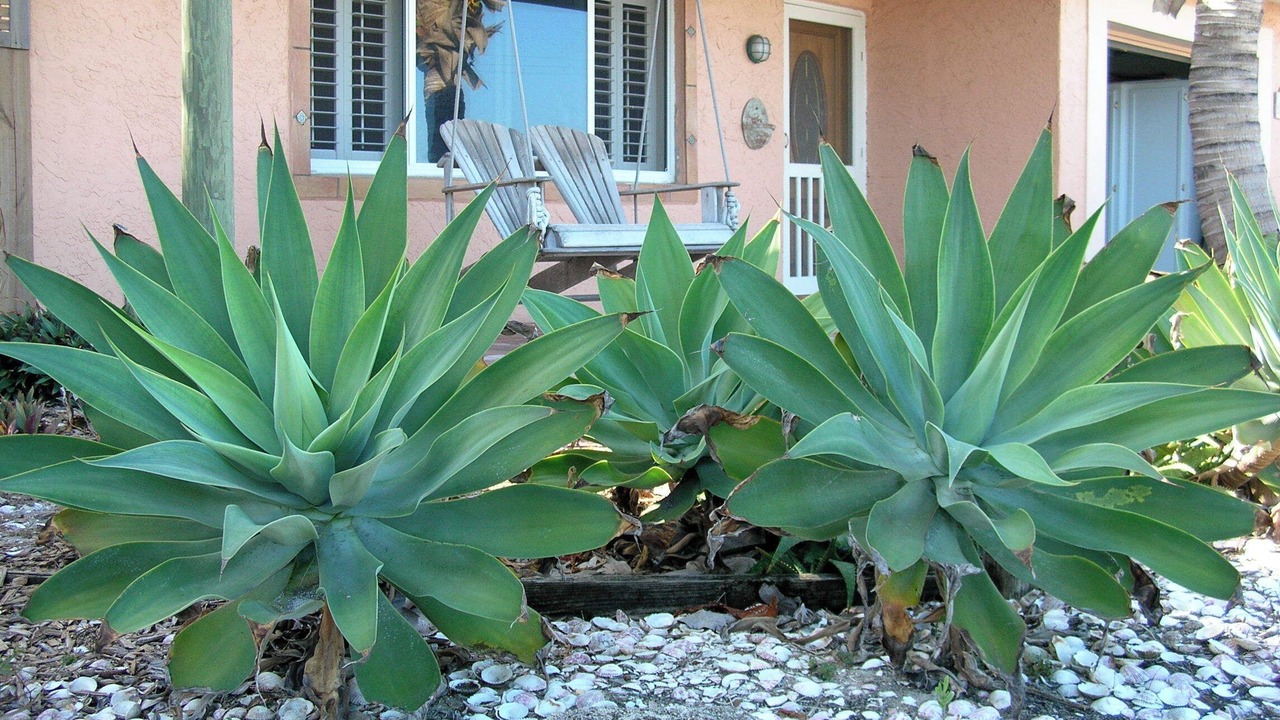 Photo of Outdoor in Indialantic By The Sea