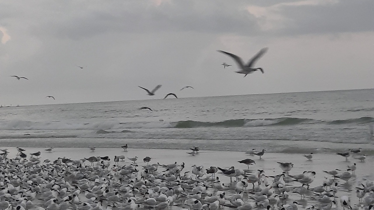 Photo of Others in Isles of Capri