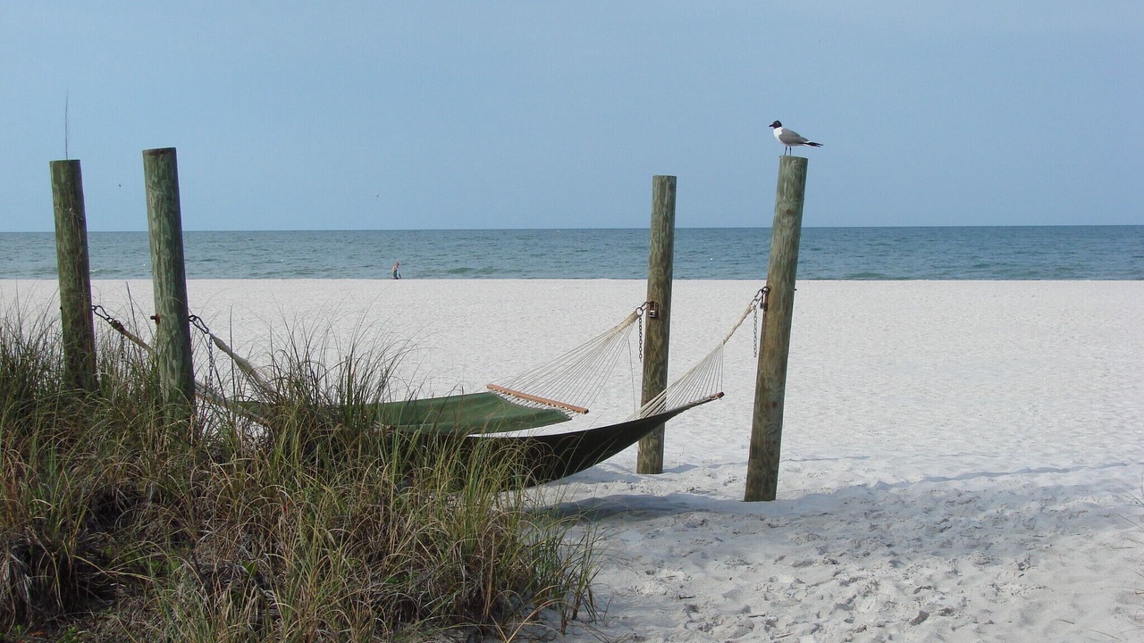 Photo of Outdoor in St. Pete Beach