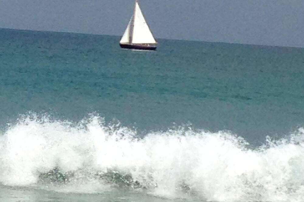 Photo of Others in Jensen Beach