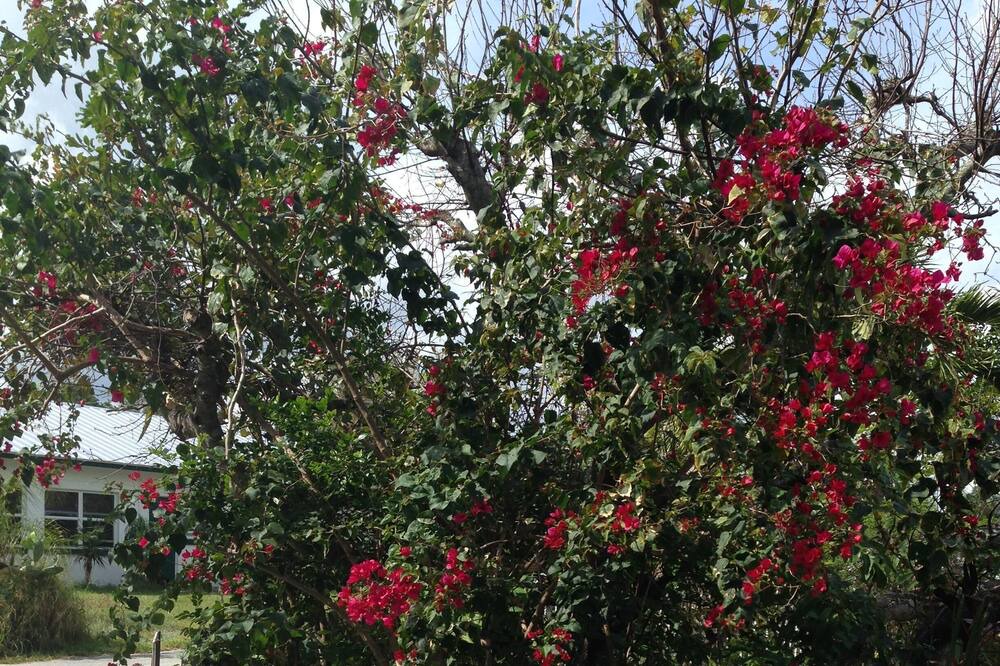 Photo of Outdoor in Jensen Beach