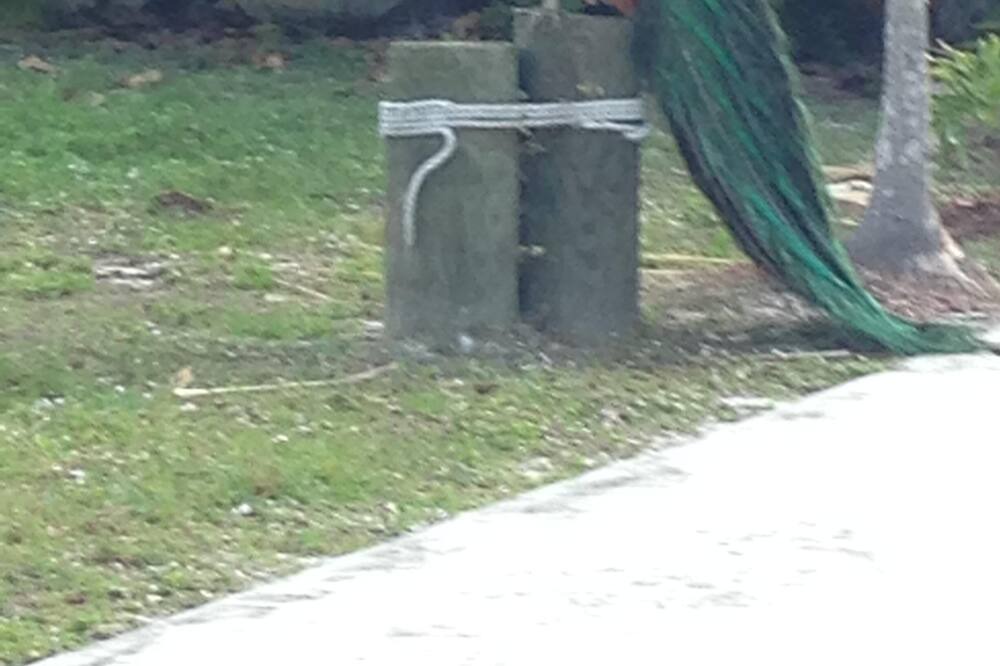 Photo of Others in Jensen Beach
