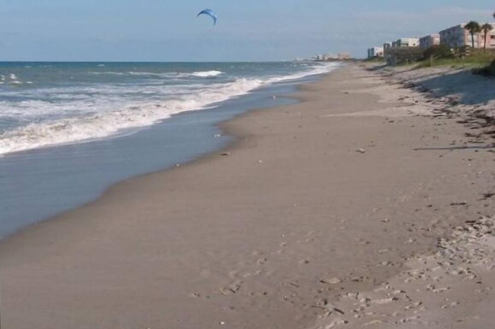 Photo of Others in South Patrick Shores