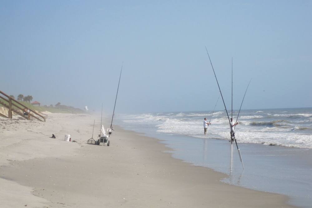 Photo of Others in South Patrick Shores