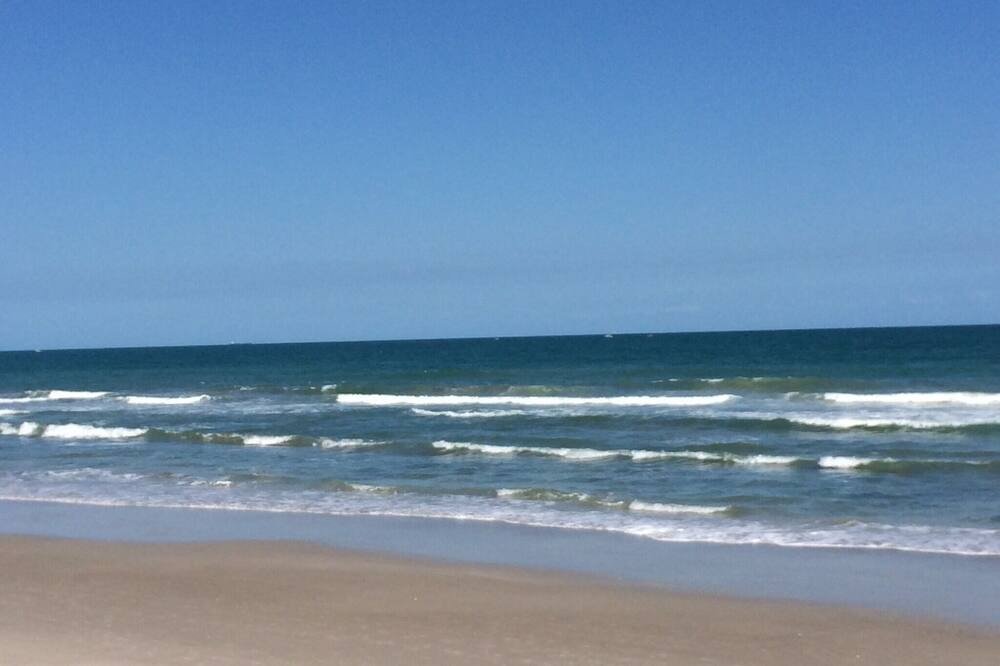 Photo of Others in South Patrick Shores