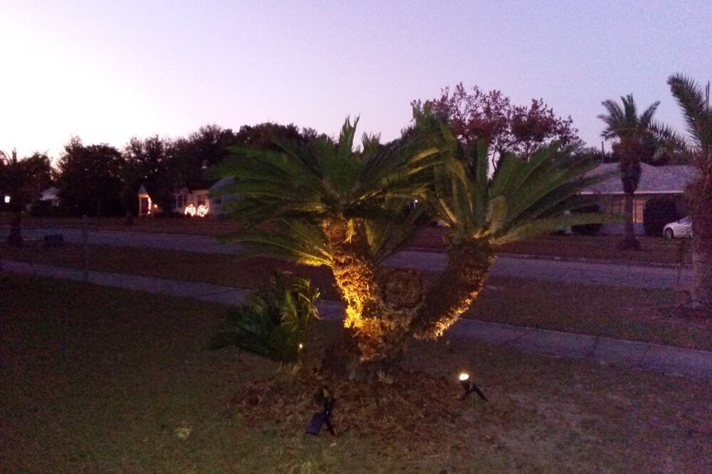 Photo of Others in Lake Wales