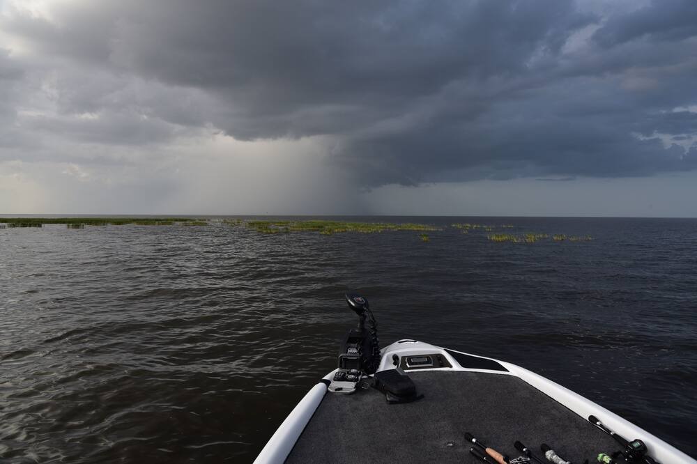 Photo of Others in Clewiston