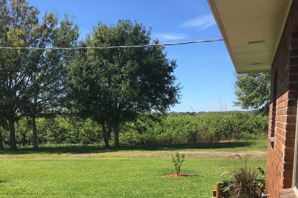 Photo of Outdoor in Auburndale