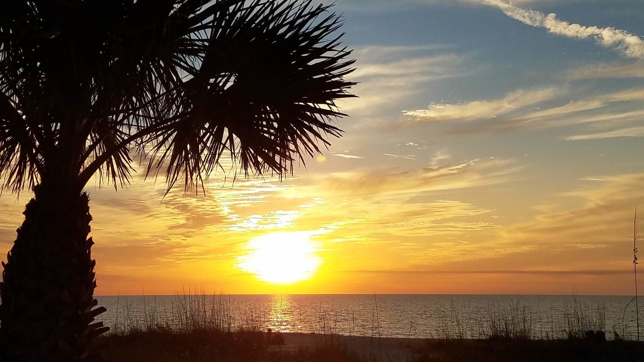 Photo of Others in Nokomis