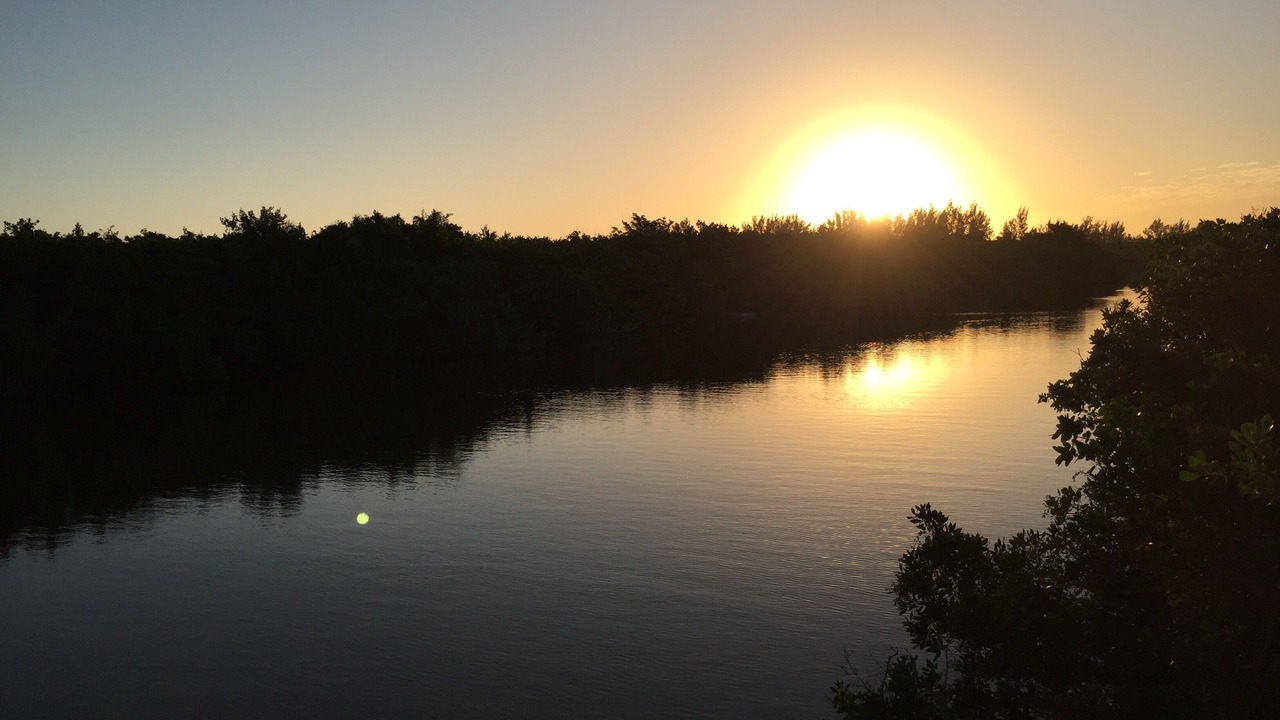 Photo of Outdoor in Heron's Landing