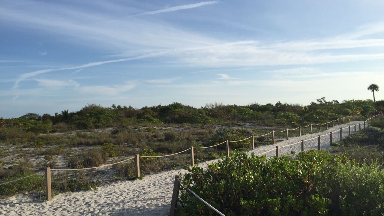 Photo of Outdoor in Heron's Landing